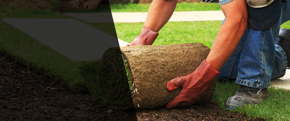 Magnolia Landscapers